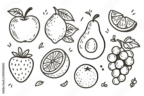 Collection of hand-drawn vector fruit icons representing various fruits in a simple and playful style suitable for various projects