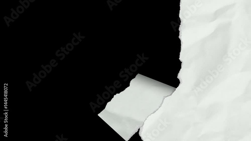 Paper Tear Vertical Animation, White Ripped Texture Matte Greenscreen 