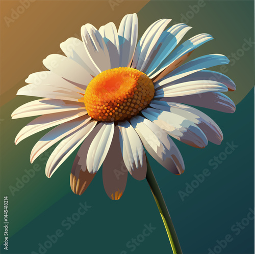 White Daisy Flower with Yellow Center. Close Up