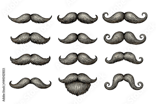 Unique collection of vintage mustache illustrations in various styles and shapes for creative projects and designs