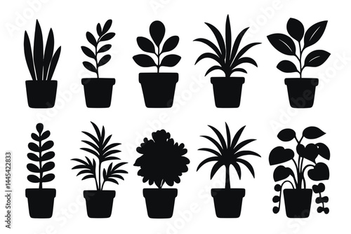Collection of ten vector icons representing various indoor plants in pots for home decoration and gardening projects