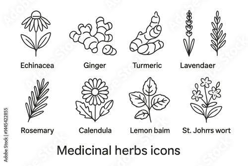 Collection of vector icons representing various medicinal herbs including echinacea, ginger, and turmeric
