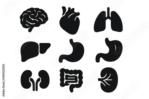 Vector icon collection representing human organs including brain, heart, lungs, liver, stomach, kidneys, and intestines for educational use