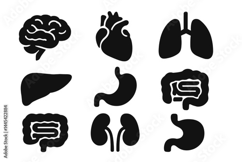Vector icon collection depicting human organs including brain, heart, lungs, liver, stomach, and kidneys