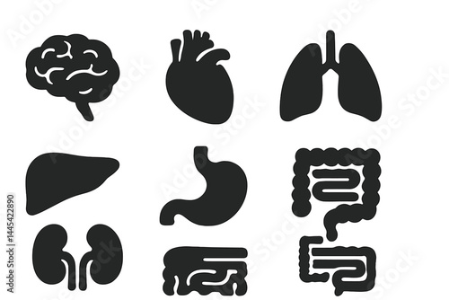 Vector icon set illustrating human organs including brain, heart, lungs, liver, stomach, kidneys, and intestines for medical design
