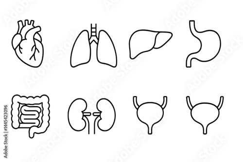 Detailed vector icon collection of human organs featuring heart, lungs, liver, stomach, intestines, kidneys, bladder, and anatomy outline