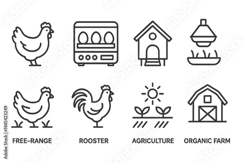Vector icon collection of farm animals and equipment emphasizing free-range chickens and organic farming concepts