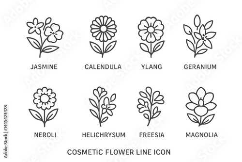 Floral vector icons representing jasmine, calendula, ylang, geranium, and other cosmetic flowers in a minimalistic style