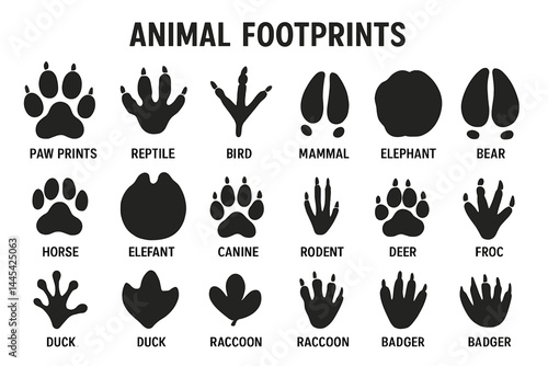 Illustration of various animal footprints showing distinct shapes for paw prints and tracks from different species including mammals and birds
