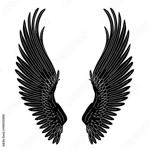 vector wings bird animal. Cartoon black and white clip art isolated on transparent background. Hand drown design element. 