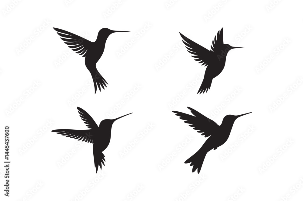 Fototapeta premium Hummingbird Silhouette Icons Collection Flying Bird Vector Art for Nature