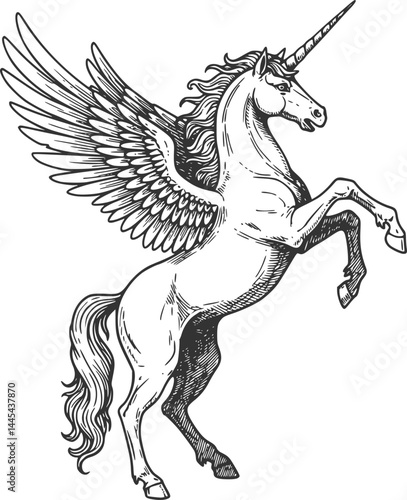 A heraldry coat of arms crest style rearing heraldic unicorn Pegasus winged horse standing on hind legs in a vintage style

