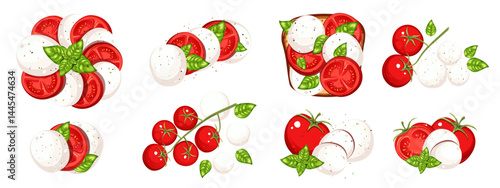 Set of products for Caprese salad. Tomatoes, mozzarella cheese, basil. Ingredients for salad. Vector illustration on white background.