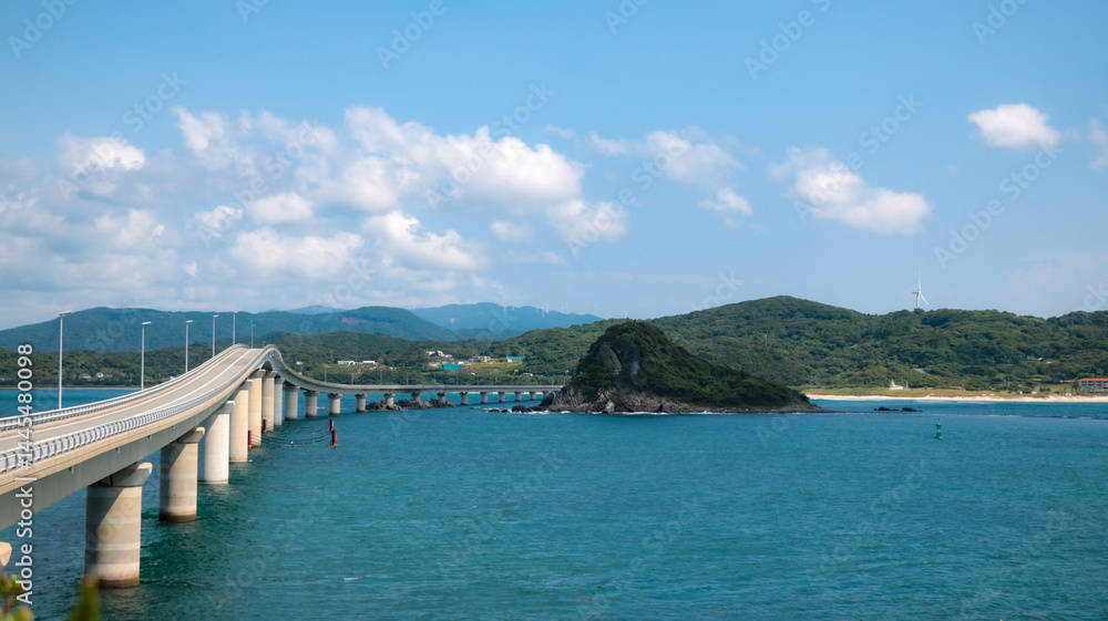 Obraz premium highway bridge over the river
