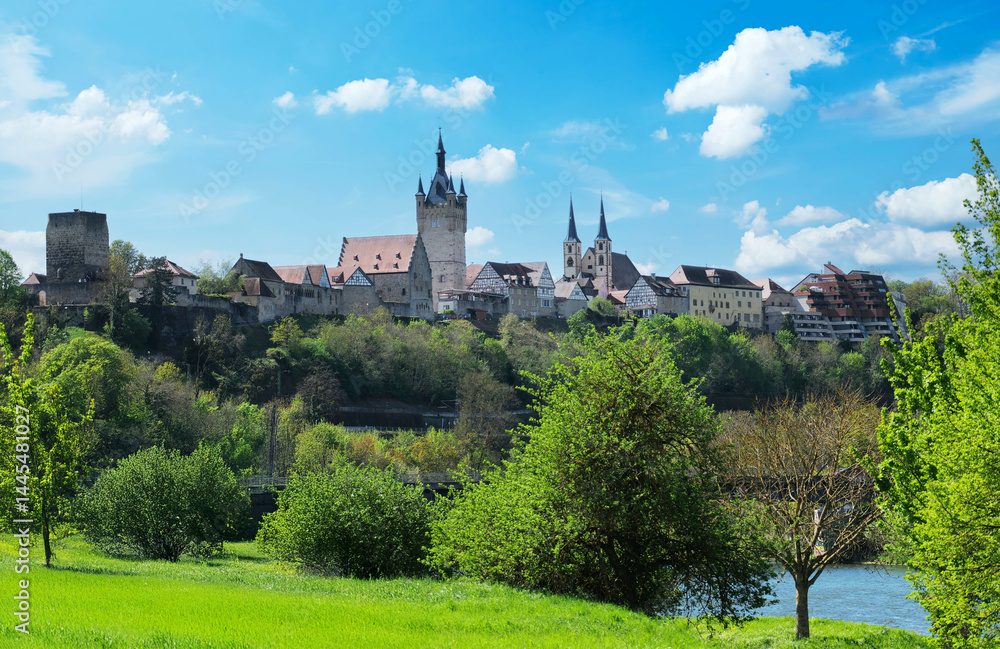 The town Bad Wimpfen above the Neckar in Baden-Wuerttemberg, Germany, Europe.
