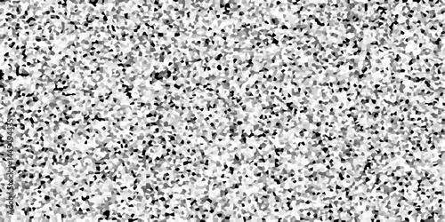 Terrazzo flooring texture polished stone pattern old pebble stones wall texture background. Silver Explosion Of Confetti. Modern with marble texture quartz surface bathroom or kitchen countertop.