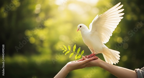 White Dove of Peace Landing on Outstretched Hands, Symbol of Hope and Tranquility in Nature