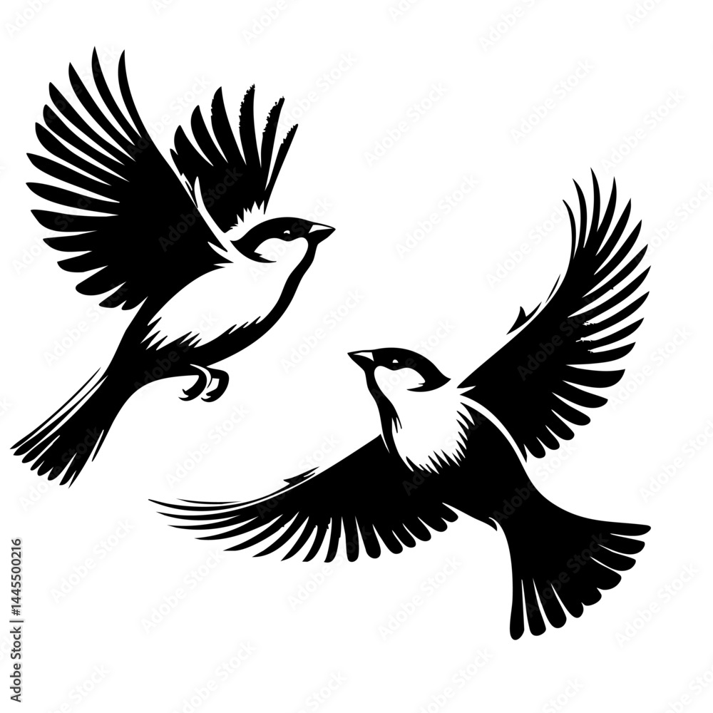 Obraz premium Majestic Birds in Flight: A Black and White Avian Masterpiece