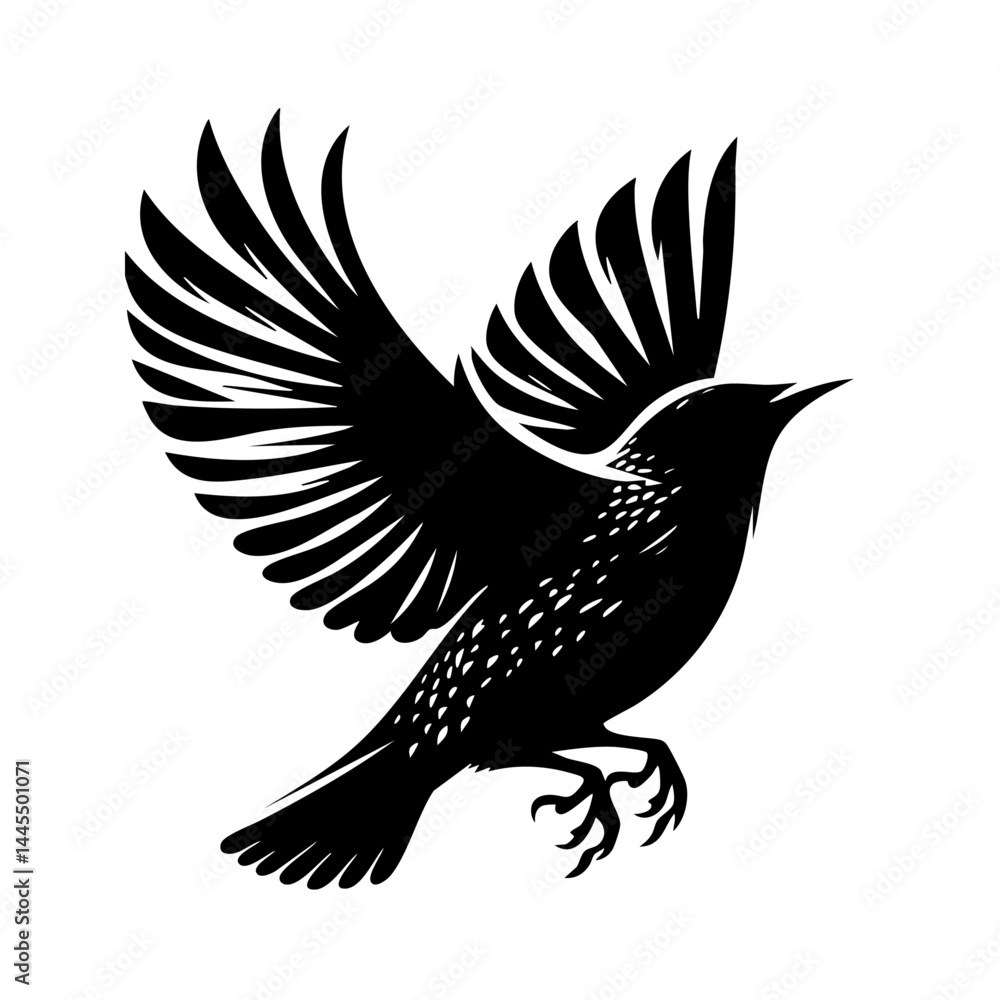 Fototapeta premium Majestic Bird in Flight: A Black and White Silhouette