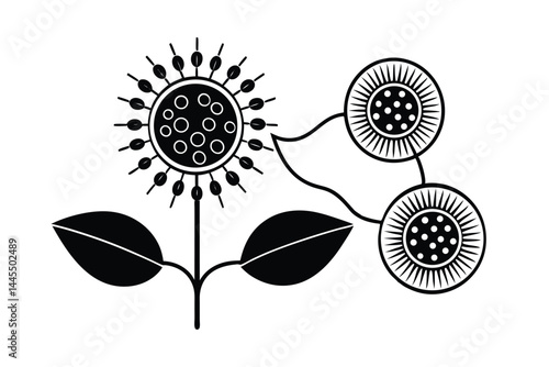 Biological Vector Illustration of Photosynthesis in Plant Cells