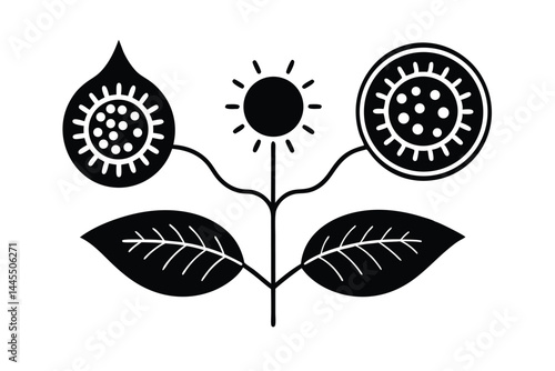 Biological Vector Illustration of Photosynthesis in Plant Cells
