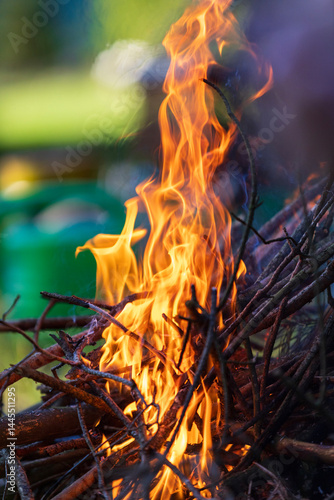 campfire, burning branches