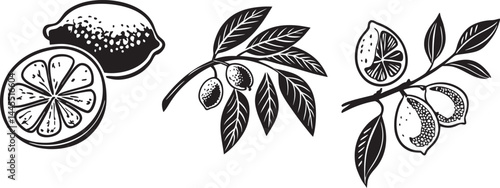 Fotografie Lemon fruit and leaves icon vector.