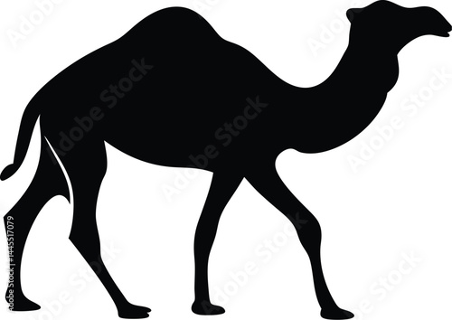 Camel Silhouette Walking Isolated on White Background – Vector Desert Animal Illustration