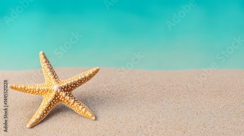 Solitary starfish on a sandy tropical beach