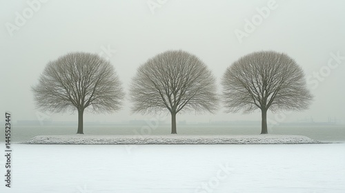 Wallpaper Mural Winters triad Bare trees on snowy islet Torontodigital.ca