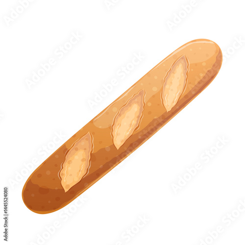 Freshly baked French baguette on a white background. View from above. The concept of confectionery, baking, cooking. Isolated vector illustrations for menu design, posters, banners, covers