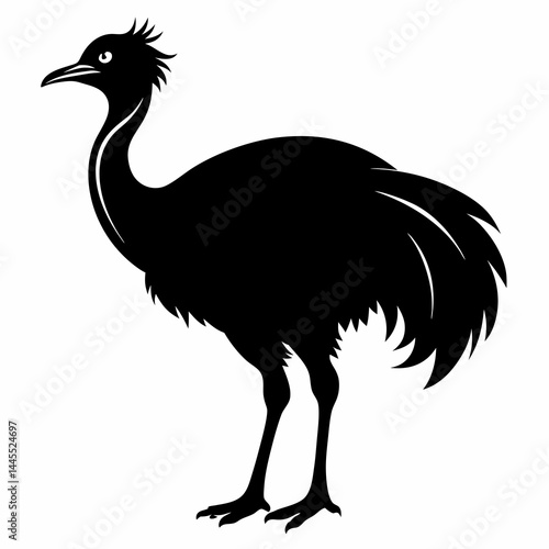 Bold Cassowary Silhouette Vector