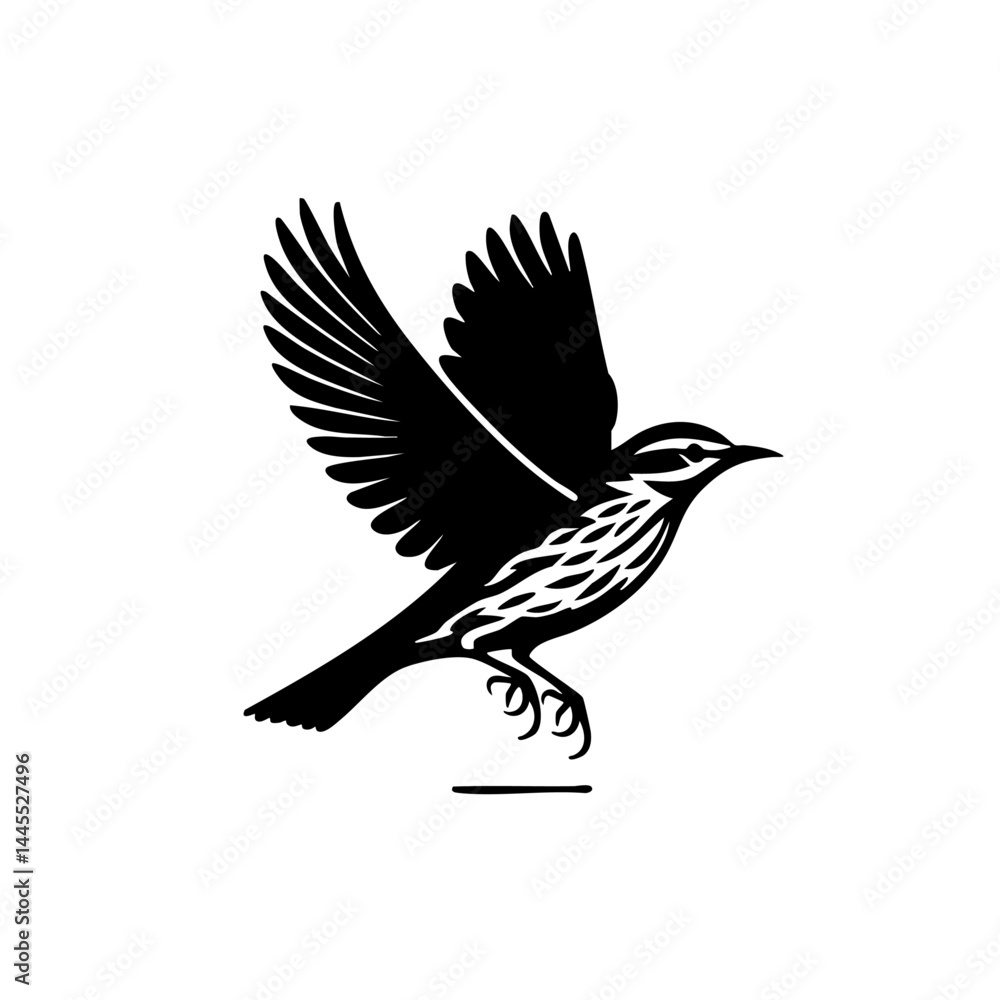 Obraz premium Majestic Bird in Flight: A Black and White Avian Silhouette