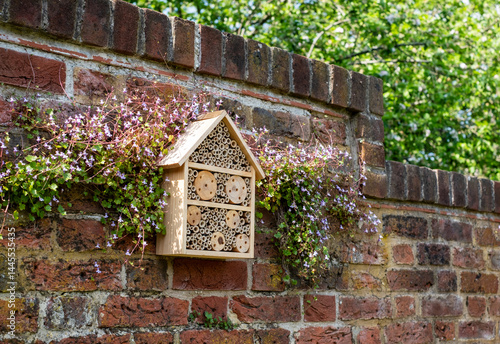 Photography Bug house hotel for insects, surrounded by flowers, affixed to the wall at Eastcote House Gardens, in Hillingdon London UK