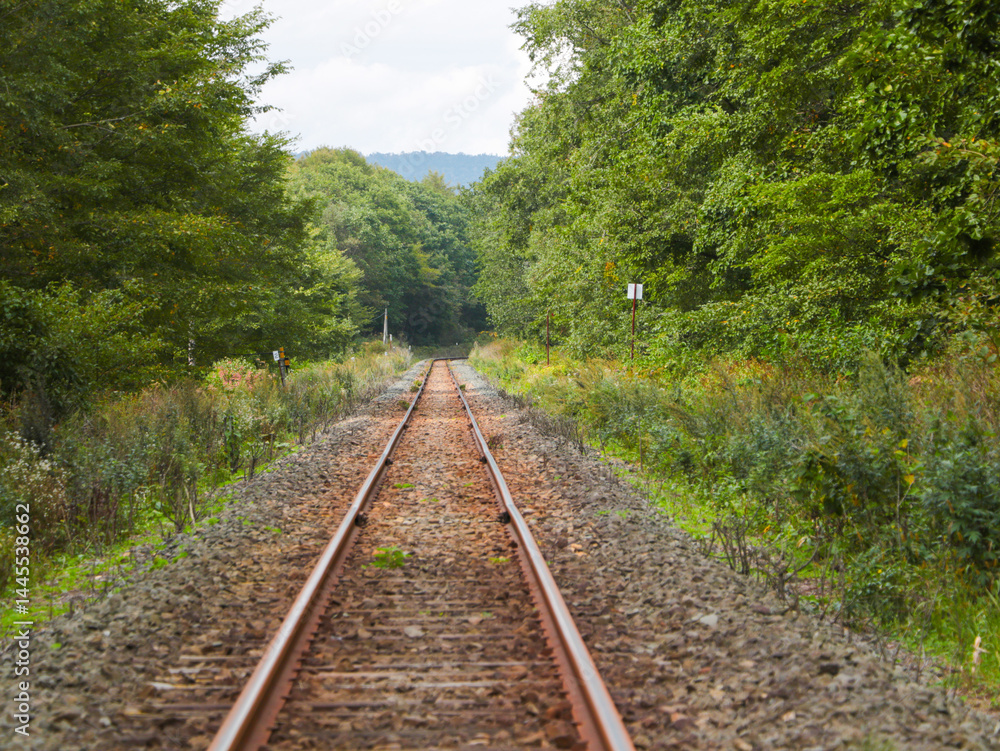 Fototapeta premium straight railway in the woods
