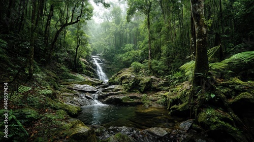 A hidden tropical waterfall flows through the dense rainforest, untouched and serene