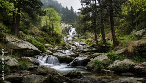 The waterfall cascades gracefully over the rugged rocks, creating a mesmerizing view