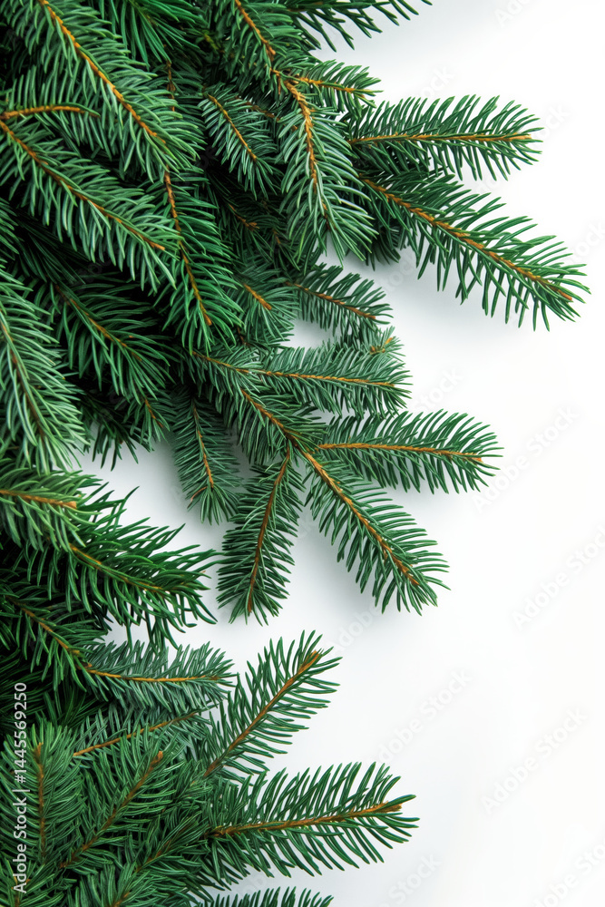 Green pine branches arranged on clean white space, perfect for holiday promotions, Christmas banners, or winter sale flyers. Green pine branches arranged on clean white space, perfect for holiday promotions, Christmas banners, or winter sale flyers.