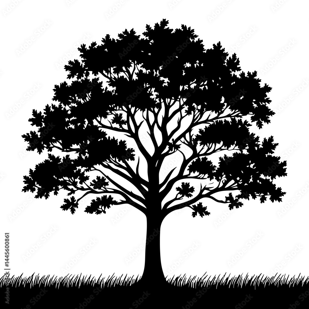 Fototapeta premium Majestic Oak Tree Silhouette: Nature's Black and White Masterpiece