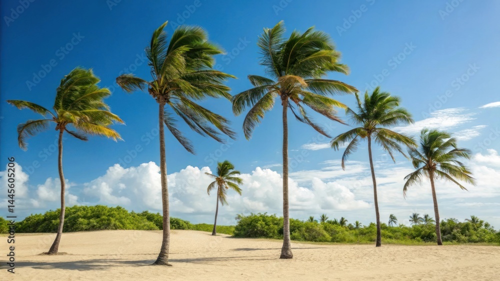 Tropical beach with palm trees swaying in the wind under a clear blue sky Tropical beach with palm trees swaying in the wind under a clear blue sky