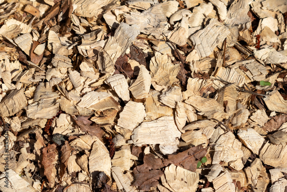 texture of coarse wood shavings. texture of coarse wood shavings.