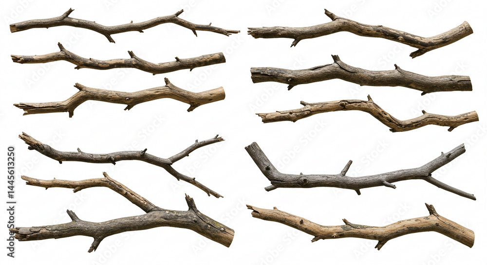 Fototapeta premium Realistic dry branches isolated on a transparent background. Dead tree branch, old twig, PNG, Cut out