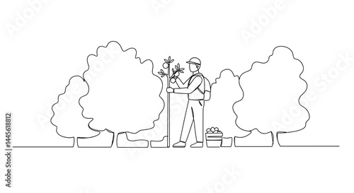 Gardener planting a tree in a nature setting  
