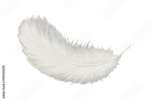 A single white feather with delicate, soft plumage. Concept Delicate White Feather, Soft Plumage, Nature's Beauty, Symbol of Peace, Elegant Details