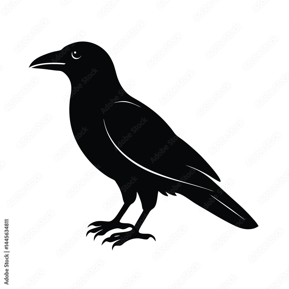 Fototapeta premium crow silhouette bird vector icon dark and strong