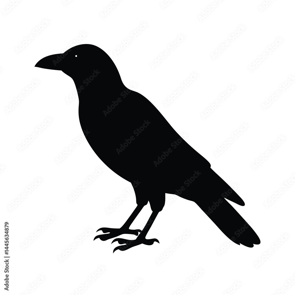 Fototapeta premium crow silhouette bird vector icon dark and strong