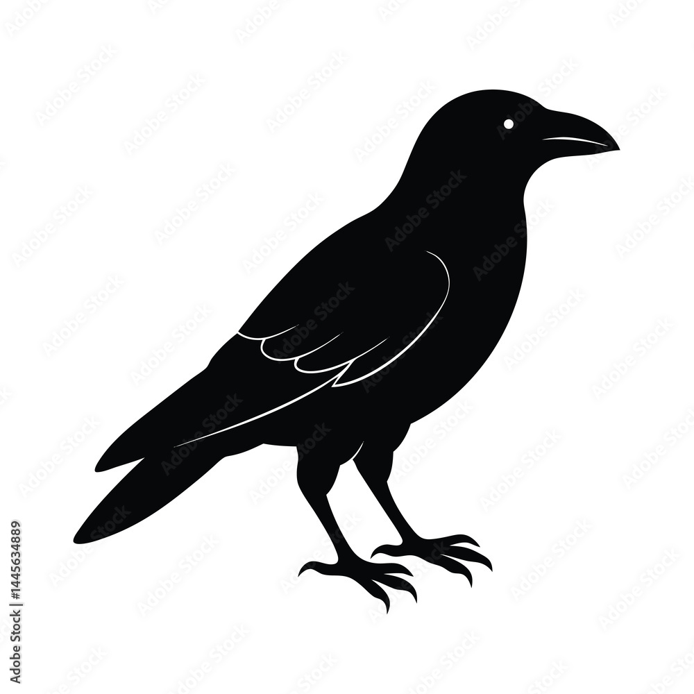 Fototapeta premium crow silhouette bird vector icon dark and strong