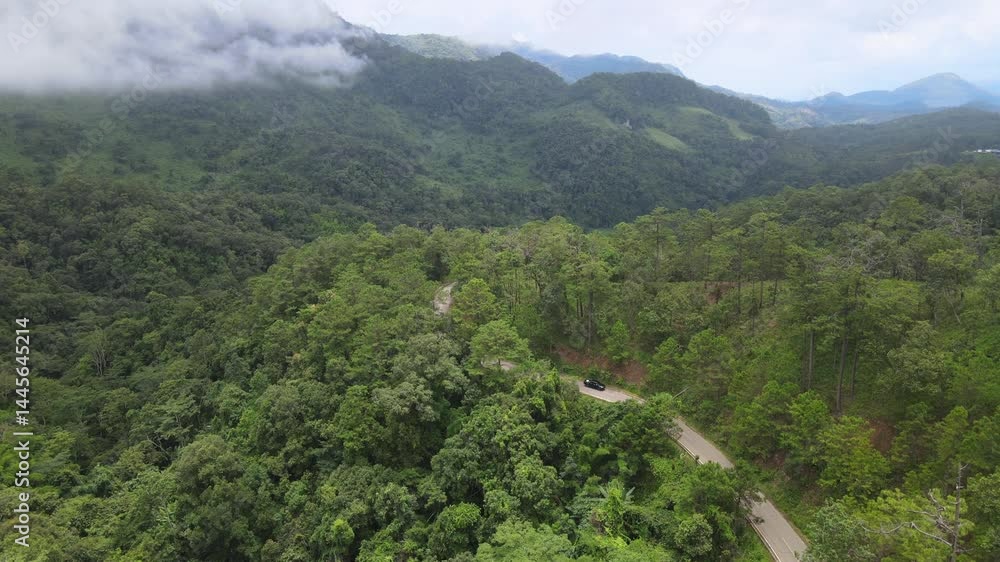 Aerial view of winding road through lush mountain forest with mist-covered peaks in the background, scenic nature and travel landscape. Aerial view of winding road through lush mountain forest with mist-covered peaks in the background, scenic nature and travel landscape.