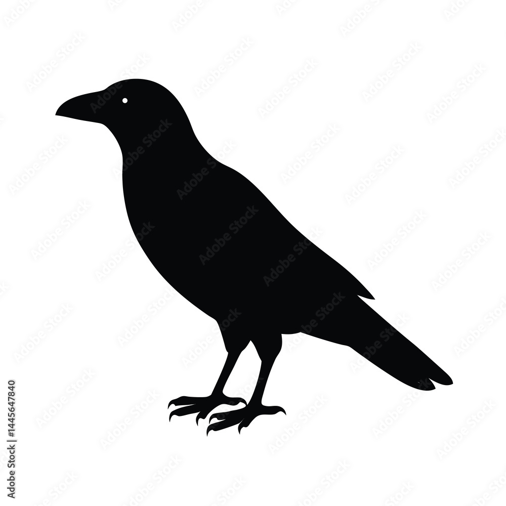 crow silhouette bird vector icon detailed and sharp crow silhouette bird vector icon detailed and sharp
