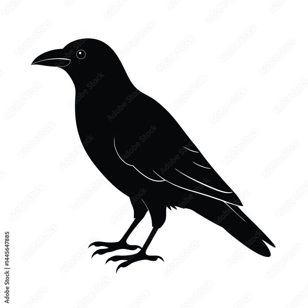 Fototapeta premium Crow Silhouette Bird Vector Icon Detailed and Sharp